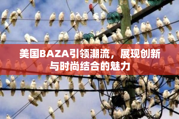 美国BAZA引领潮流，展现创新与时尚结合的魅力