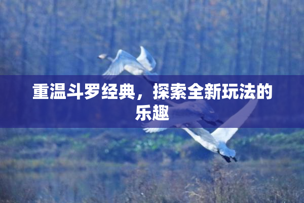 重温斗罗经典，探索全新玩法的乐趣