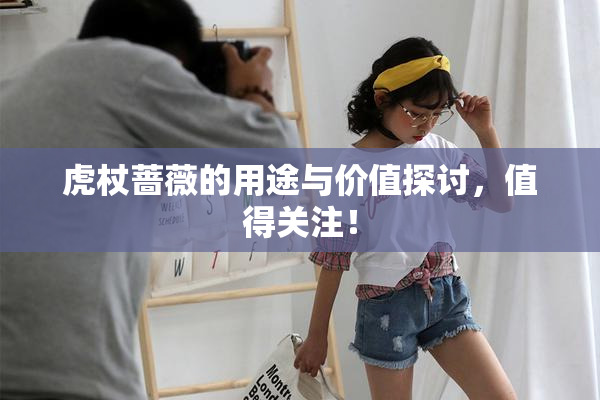 虎杖蔷薇的用途与价值探讨，值得关注！
