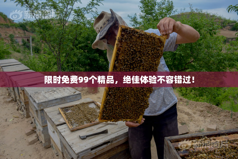 限时免费99个精品，绝佳体验不容错过！