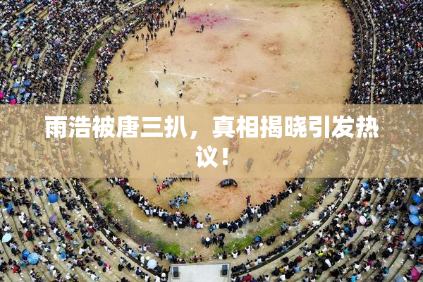 雨浩被唐三扒，真相揭晓引发热议！