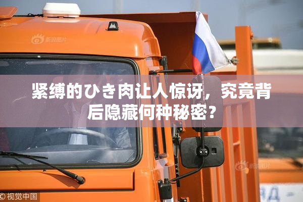 紧缚的ひき肉让人惊讶，究竟背后隐藏何种秘密？