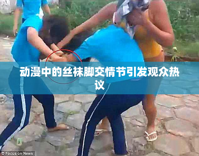 动漫中的丝袜脚交情节引发观众热议