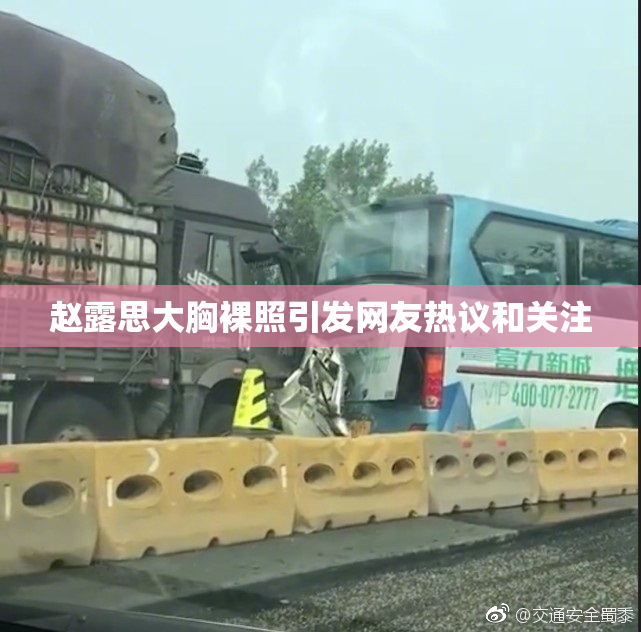 赵露思大胸裸照引发网友热议和关注