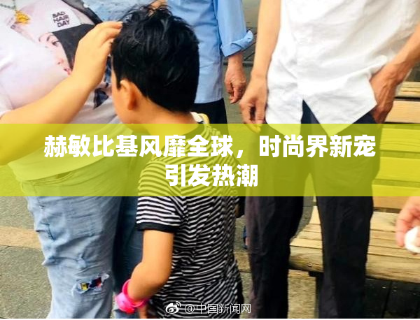 赫敏比基风靡全球，时尚界新宠引发热潮
