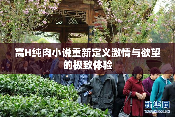 高H纯肉小说重新定义激情与欲望的极致体验