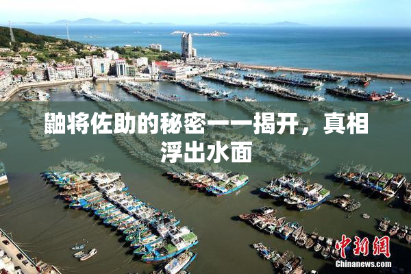 鼬将佐助的秘密一一揭开，真相浮出水面