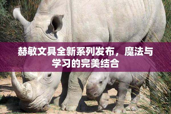 赫敏文具全新系列发布，魔法与学习的完美结合