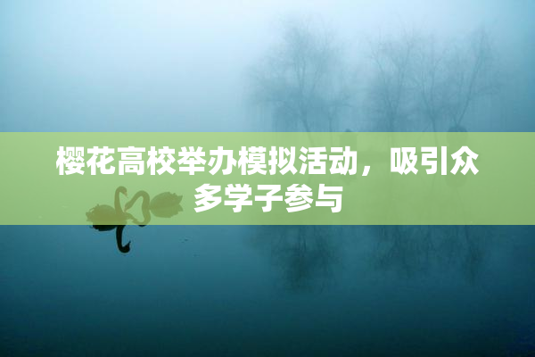樱花高校举办模拟活动，吸引众多学子参与