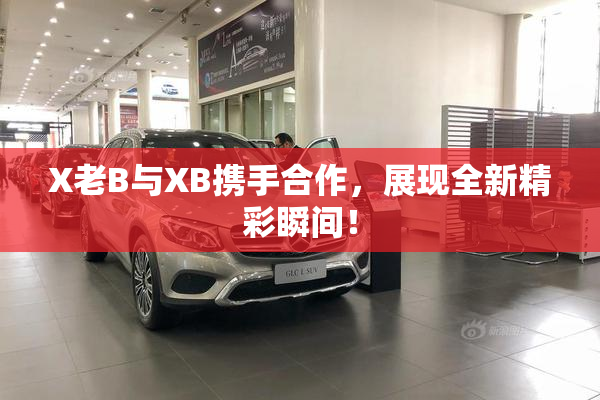 X老B与XB携手合作，展现全新精彩瞬间！
