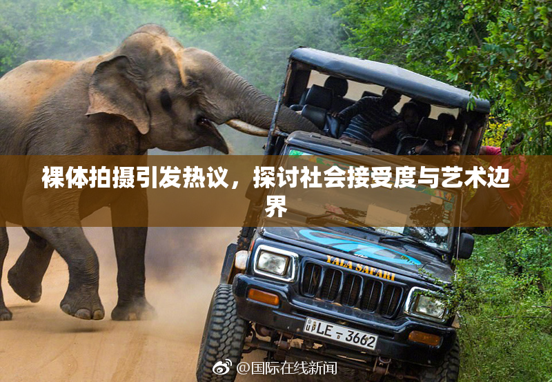 裸体拍摄引发热议，探讨社会接受度与艺术边界