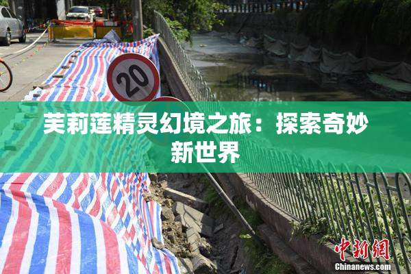 芙莉莲精灵幻境之旅：探索奇妙新世界