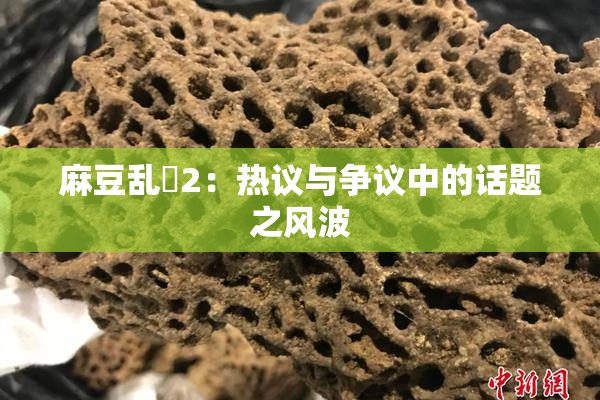 麻豆乱婬2：热议与争议中的话题之风波