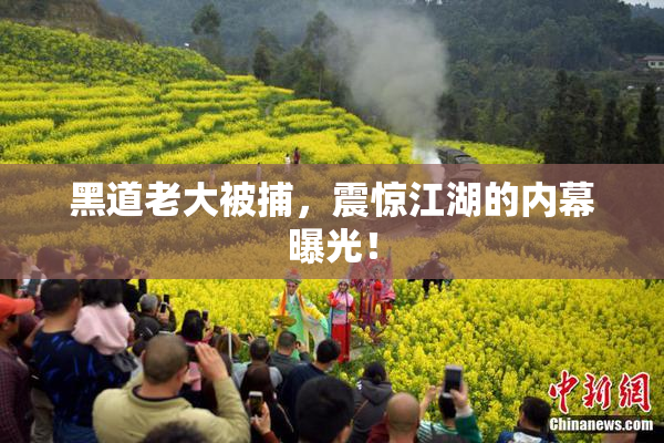 黑道老大被捕，震惊江湖的内幕曝光！