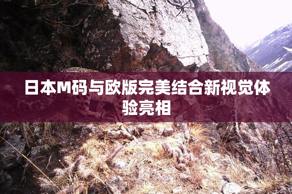 日本M码与欧版完美结合新视觉体验亮相