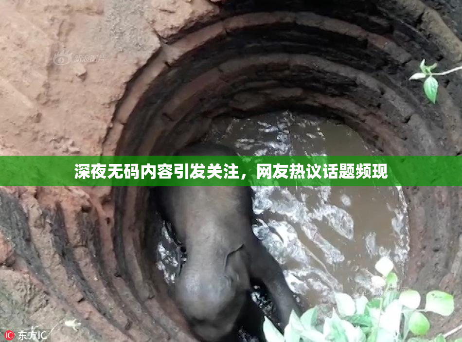 深夜无码内容引发关注，网友热议话题频现
