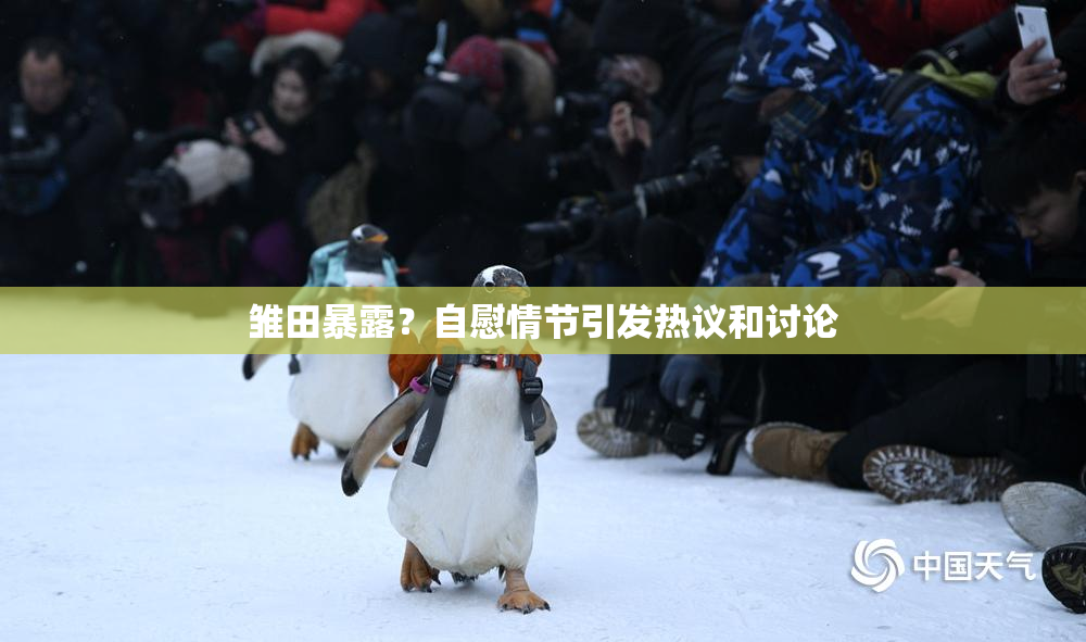 雏田暴露？自慰情节引发热议和讨论