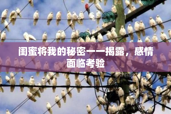 闺蜜将我的秘密一一揭露，感情面临考验