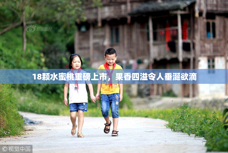 18颗水蜜桃重磅上市，果香四溢令人垂涎欲滴