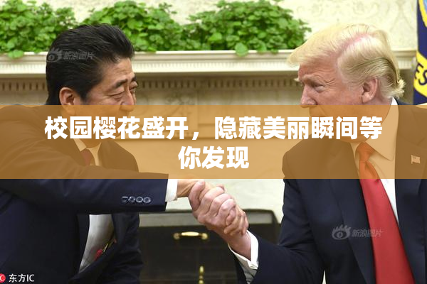 校园樱花盛开，隐藏美丽瞬间等你发现