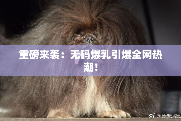 重磅来袭：无码爆乳引爆全网热潮！