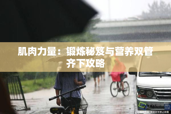 肌肉力量：锻炼秘笈与营养双管齐下攻略