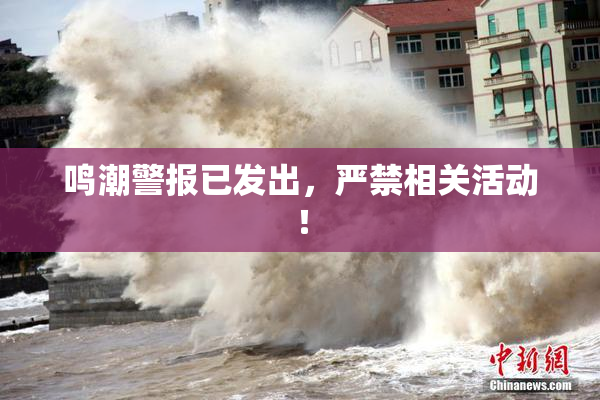 鸣潮警报已发出，严禁相关活动！
