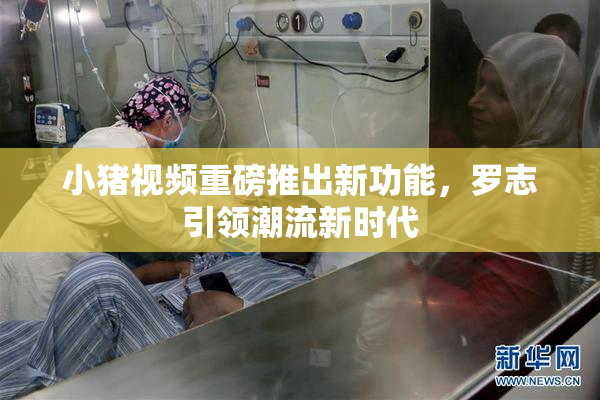 小猪视频重磅推出新功能，罗志引领潮流新时代