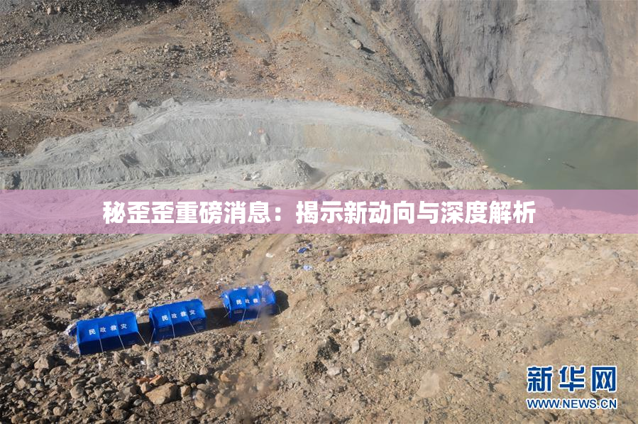 秘歪歪重磅消息：揭示新动向与深度解析