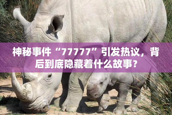 神秘事件“77777”引发热议，背后到底隐藏着什么故事？