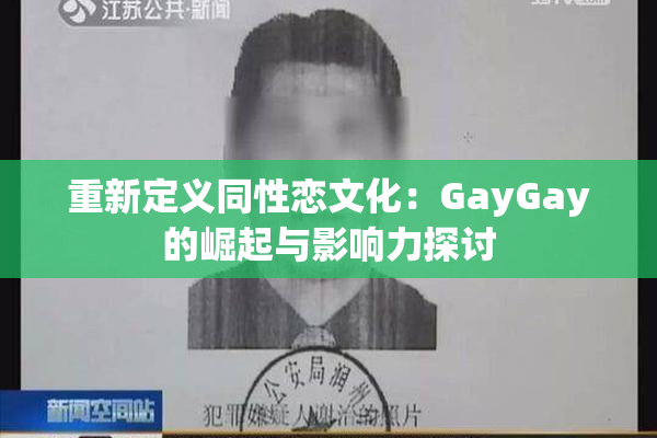 重新定义同性恋文化：GayGay的崛起与影响力探讨