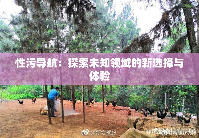 性污导航：探索未知领域的新选择与体验