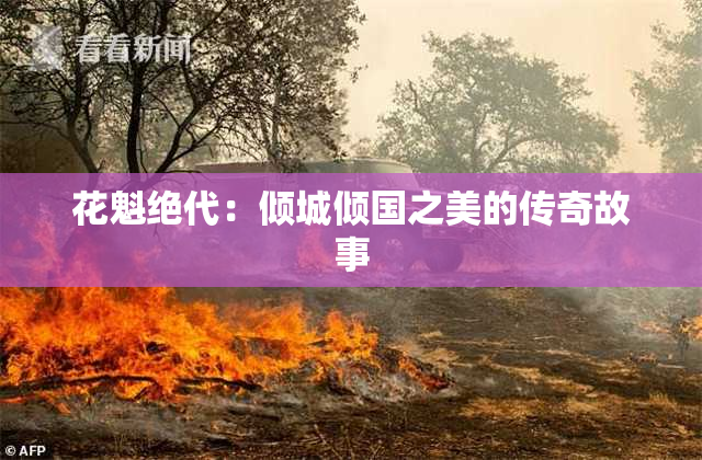 花魁绝代：倾城倾国之美的传奇故事