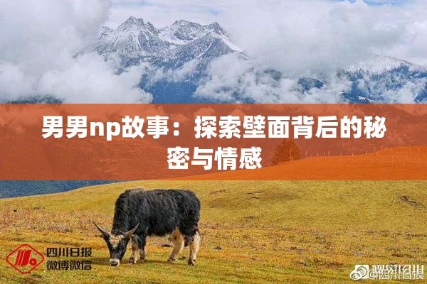 男男np故事：探索壁面背后的秘密与情感