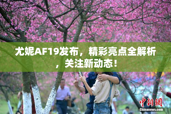 尤妮AF19发布，精彩亮点全解析，关注新动态！