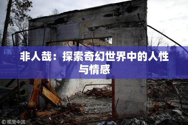 非人哉：探索奇幻世界中的人性与情感