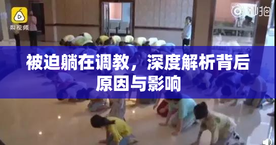 被迫躺在调教，深度解析背后原因与影响