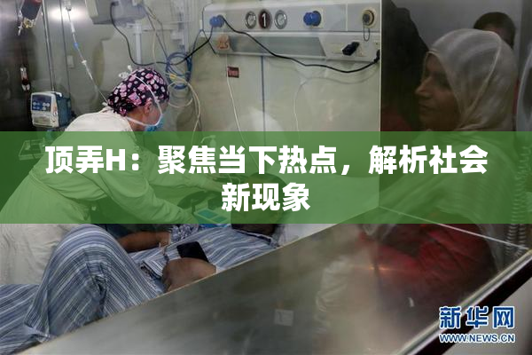 顶弄H：聚焦当下热点，解析社会新现象