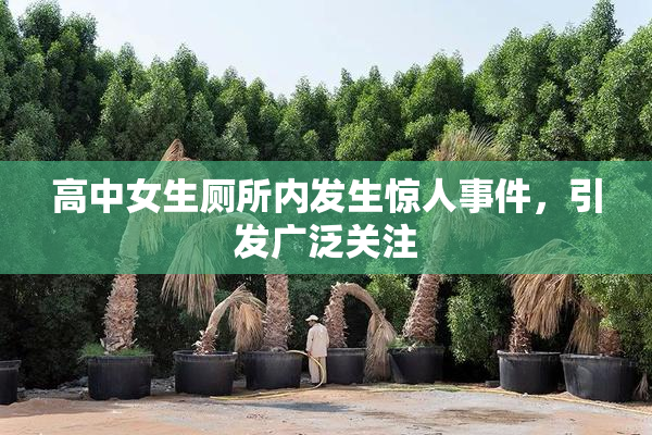 高中女生厕所内发生惊人事件，引发广泛关注