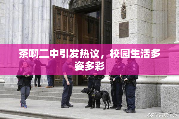 茶啊二中引发热议，校园生活多姿多彩