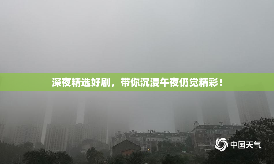 深夜精选好剧，带你沉浸午夜仍觉精彩！
