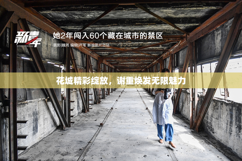 花城精彩绽放，谢重焕发无限魅力
