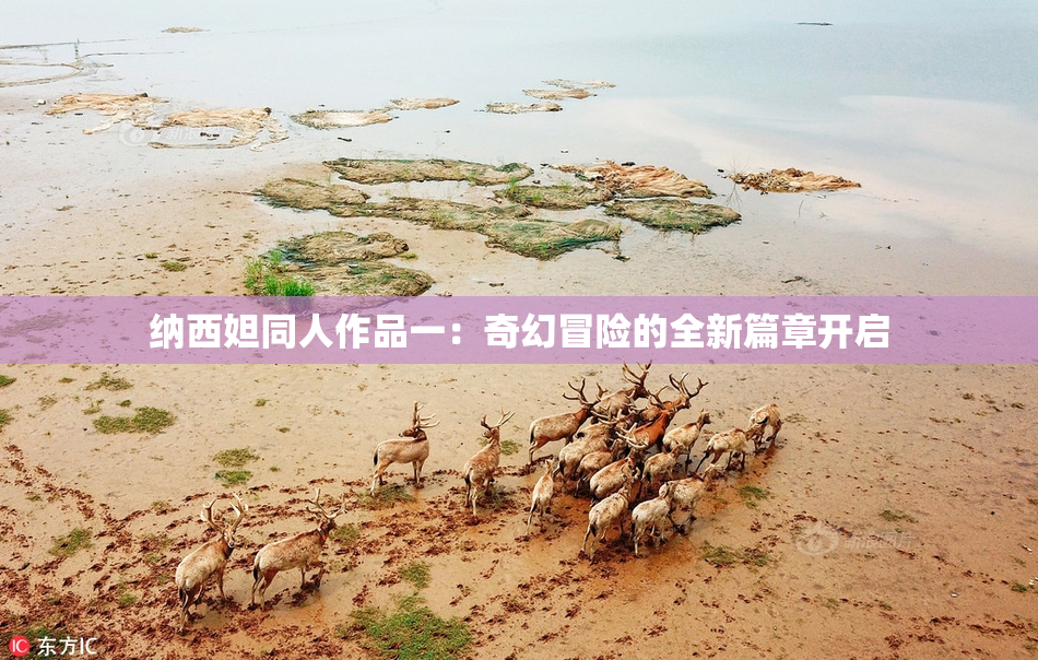 纳西妲同人作品一：奇幻冒险的全新篇章开启