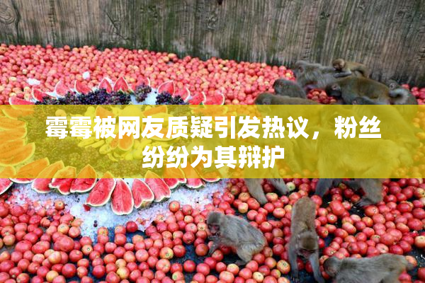 霉霉被网友质疑引发热议，粉丝纷纷为其辩护