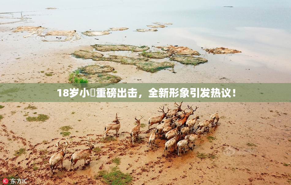 18岁小泬重磅出击，全新形象引发热议！