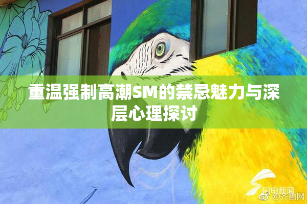 重温强制高潮SM的禁忌魅力与深层心理探讨