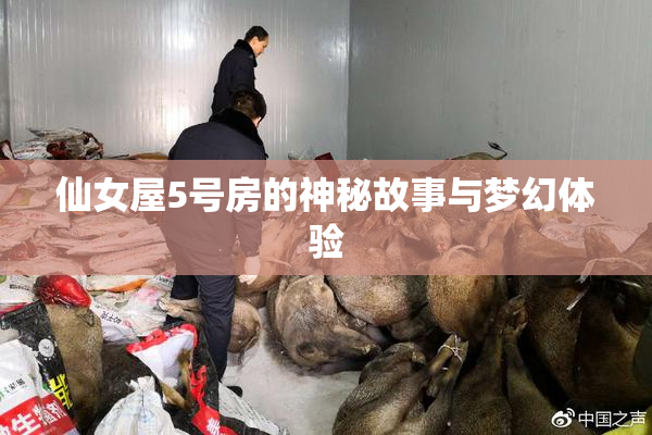 仙女屋5号房的神秘故事与梦幻体验