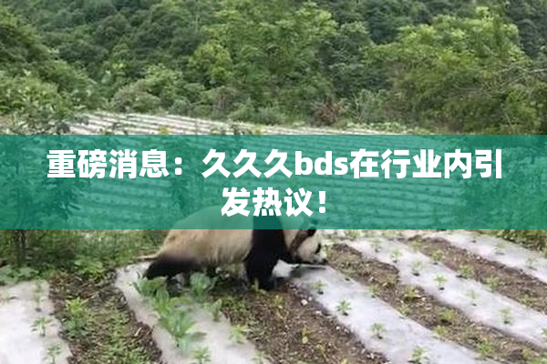 重磅消息：久久久bds在行业内引发热议！