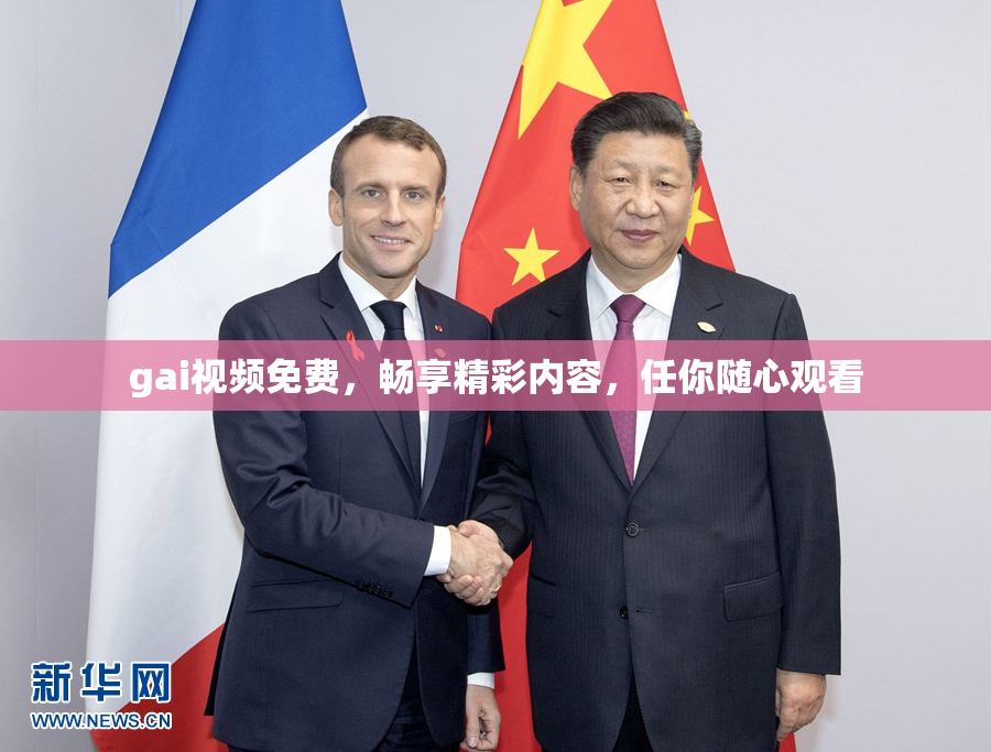 gai视频免费，畅享精彩内容，任你随心观看