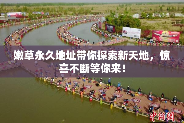 嫩草永久地址带你探索新天地，惊喜不断等你来！